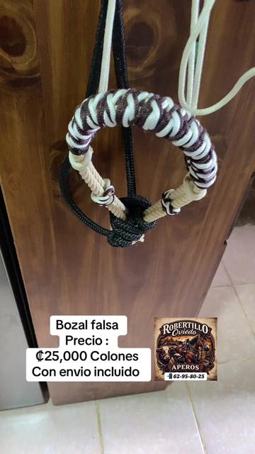 @RobertilloOviedo