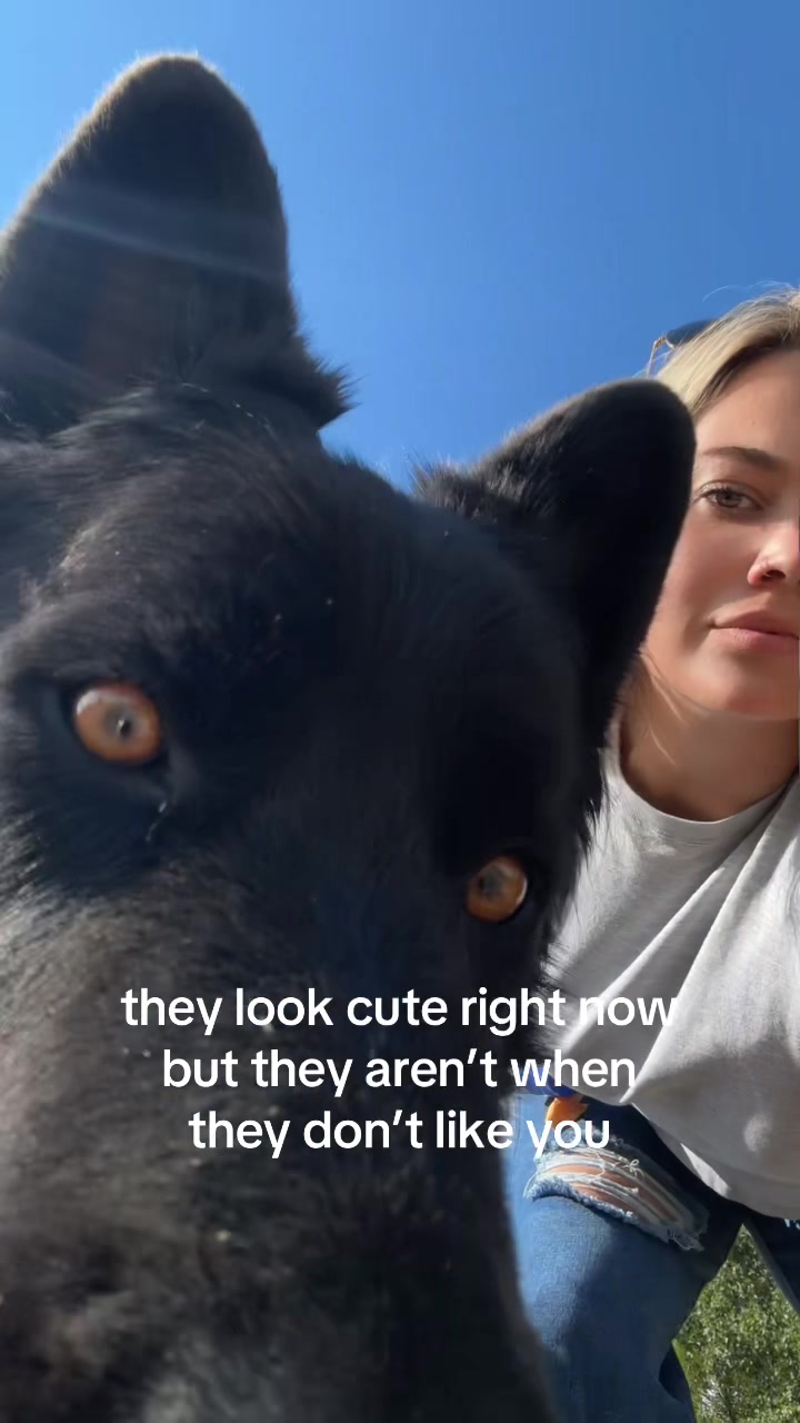 @mar.155a
