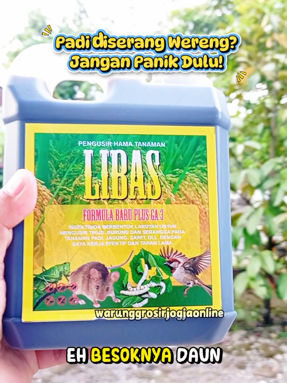 @warung grosir jogja online