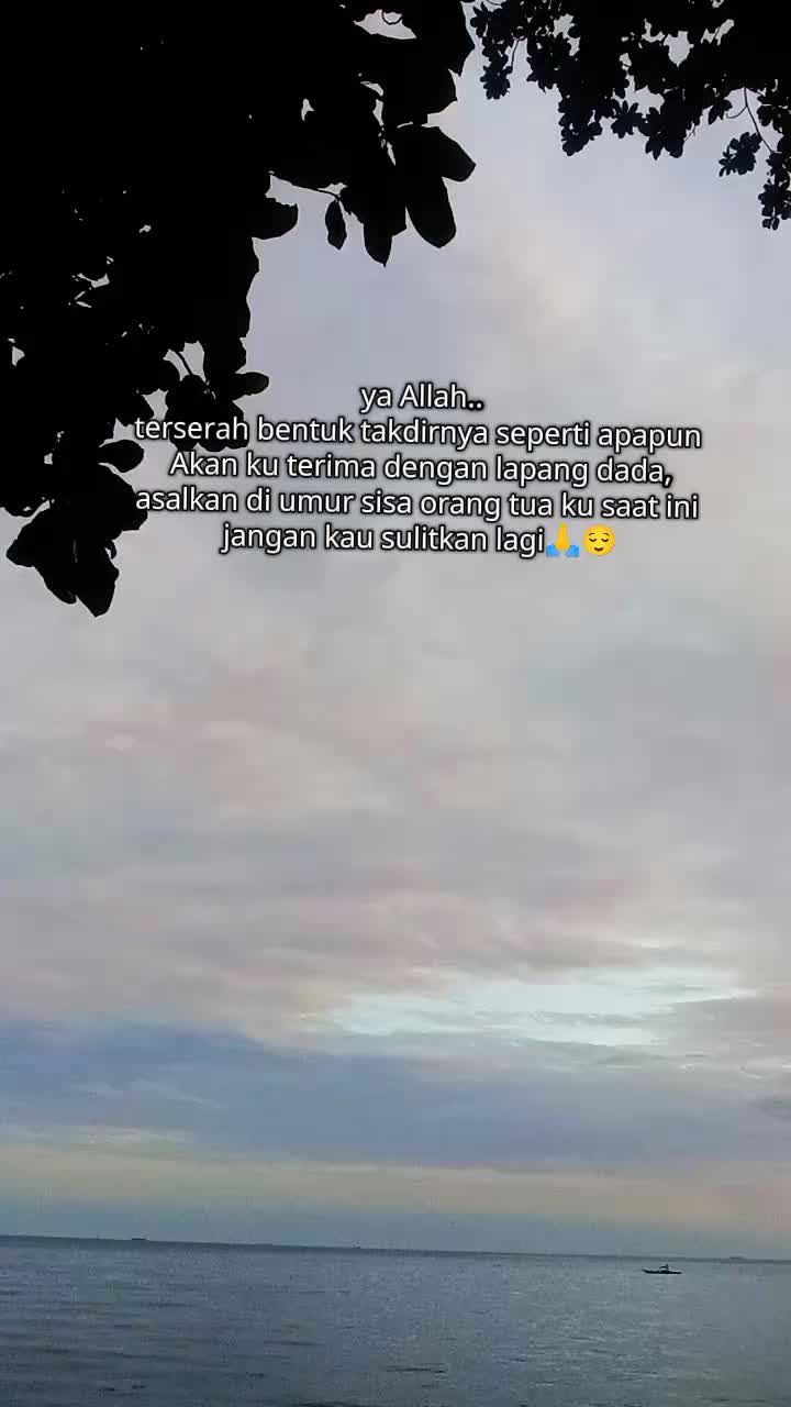 @Ddin
