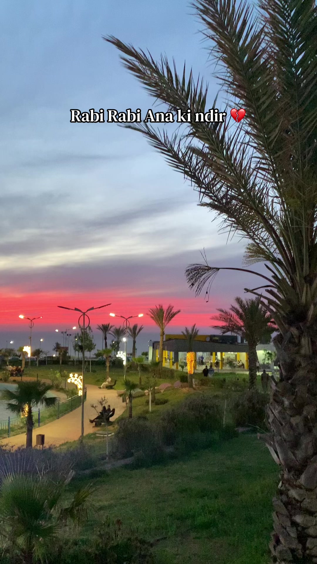 @+213 🖤🇩🇿