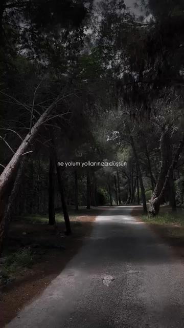 @Türkçe Şarkı