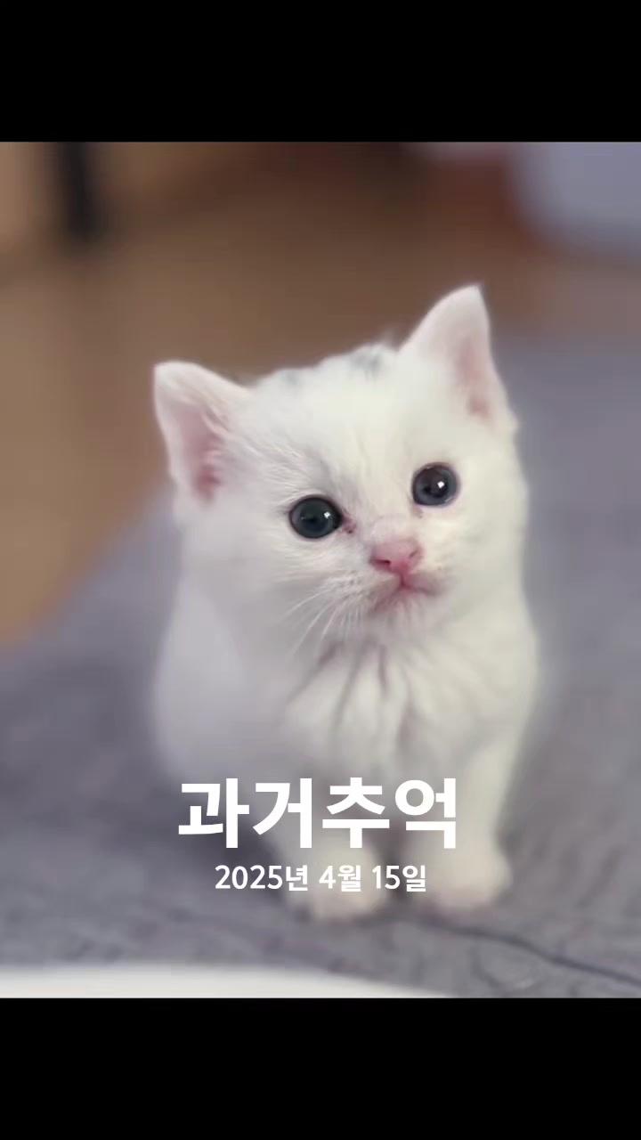@user73882423091