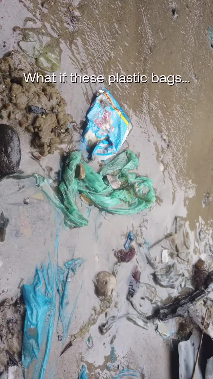 @Seven Clean Seas