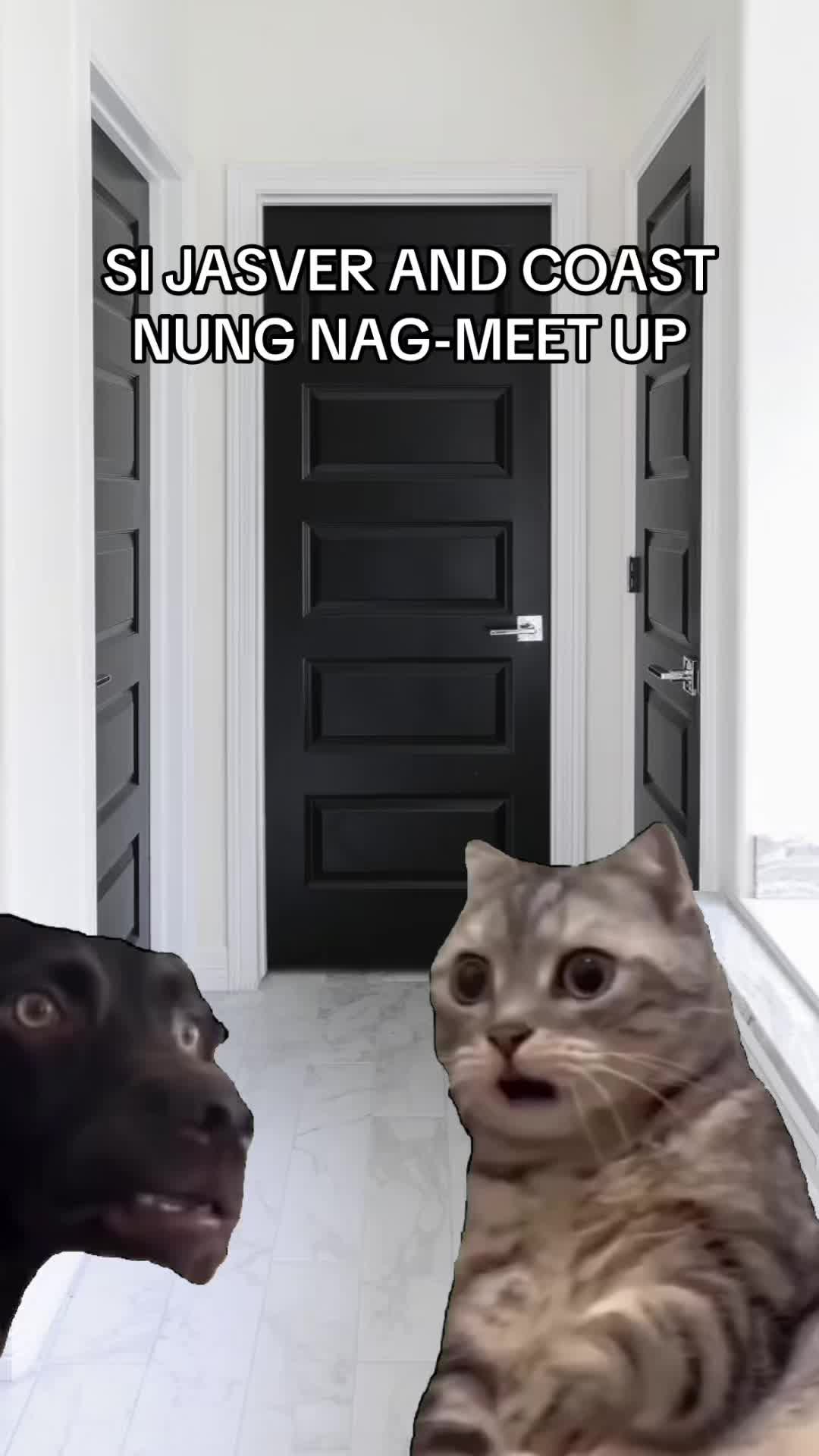 @chiki dog na bigay ni rade