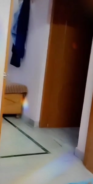 @Kimipawan