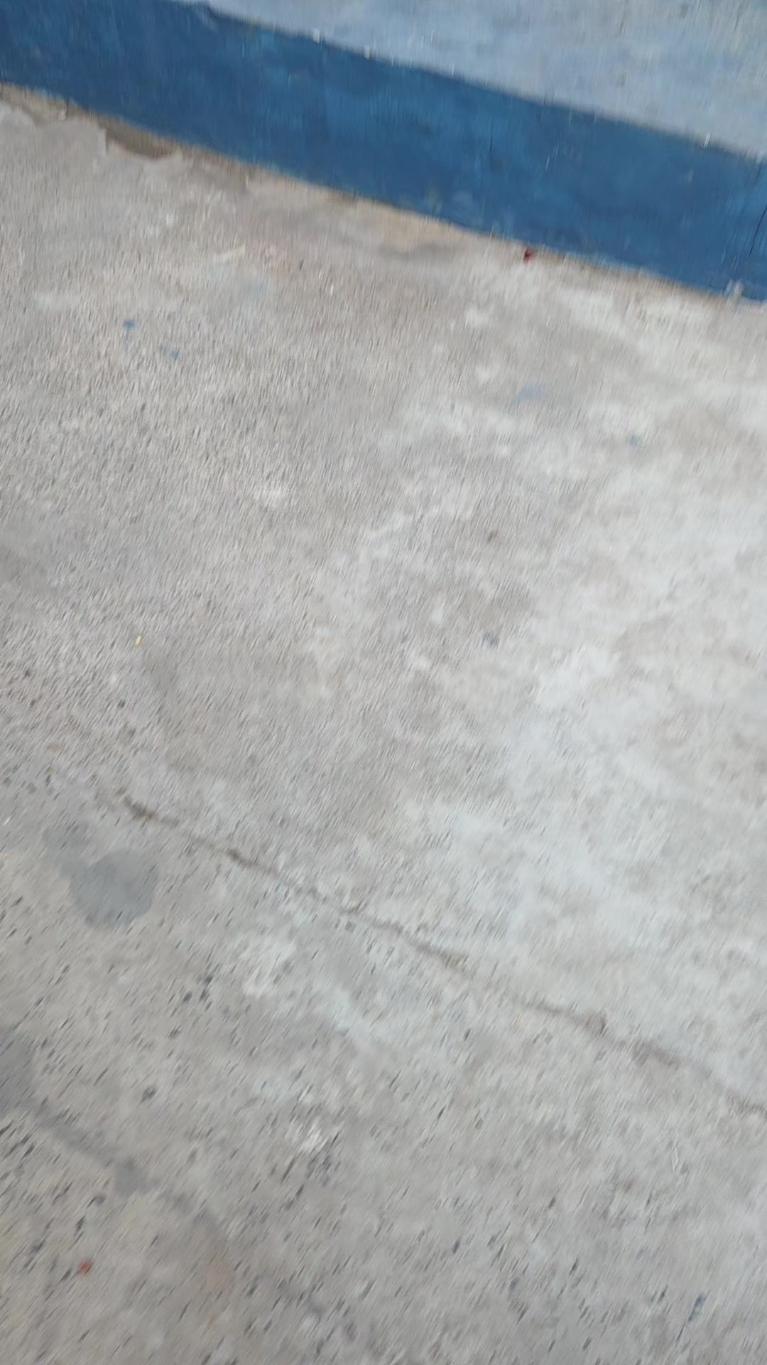 @Dora Argüello