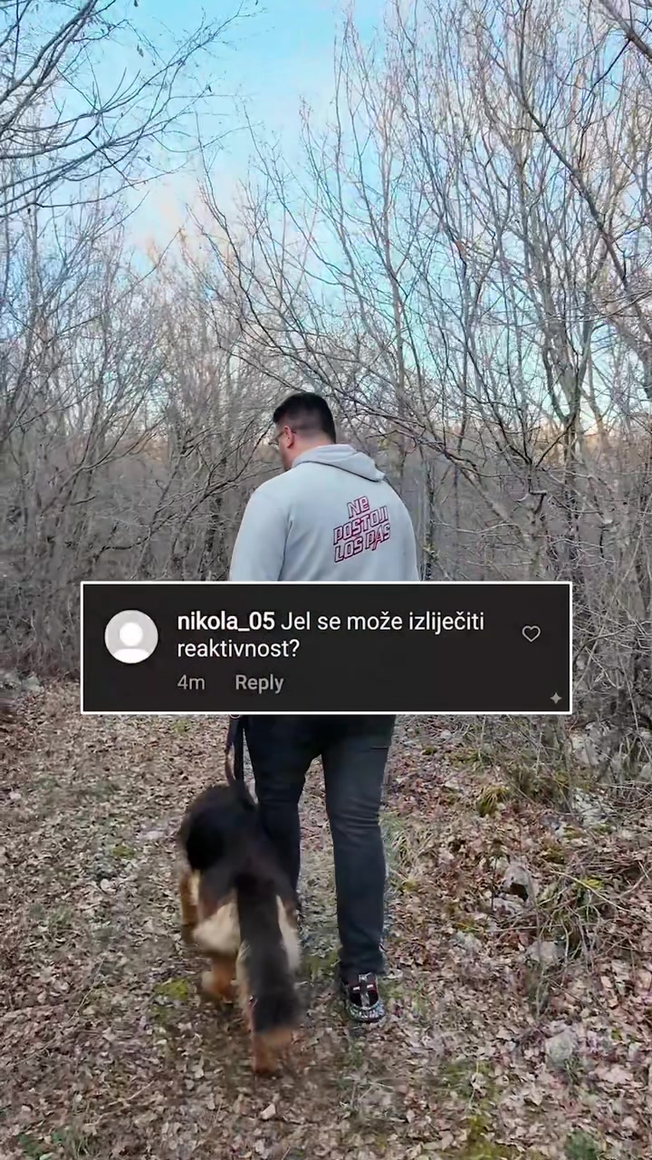 @superdog.akademija