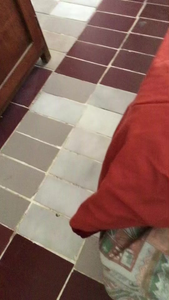 @Editx350