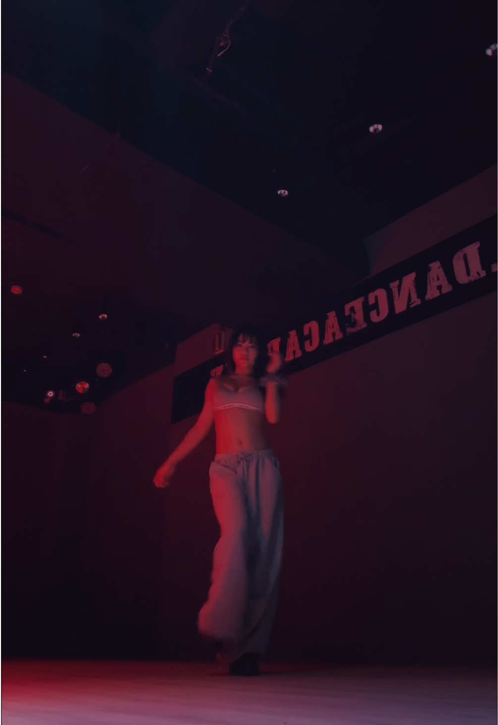 @海豹🦭
