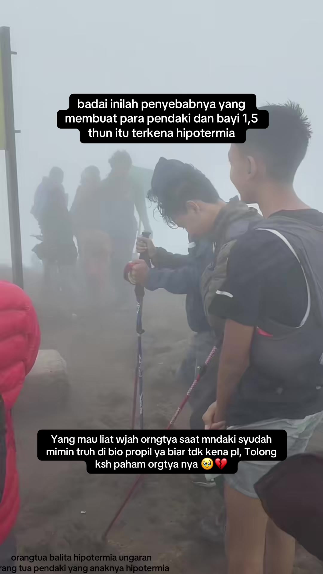@hajatan purwakarta viral