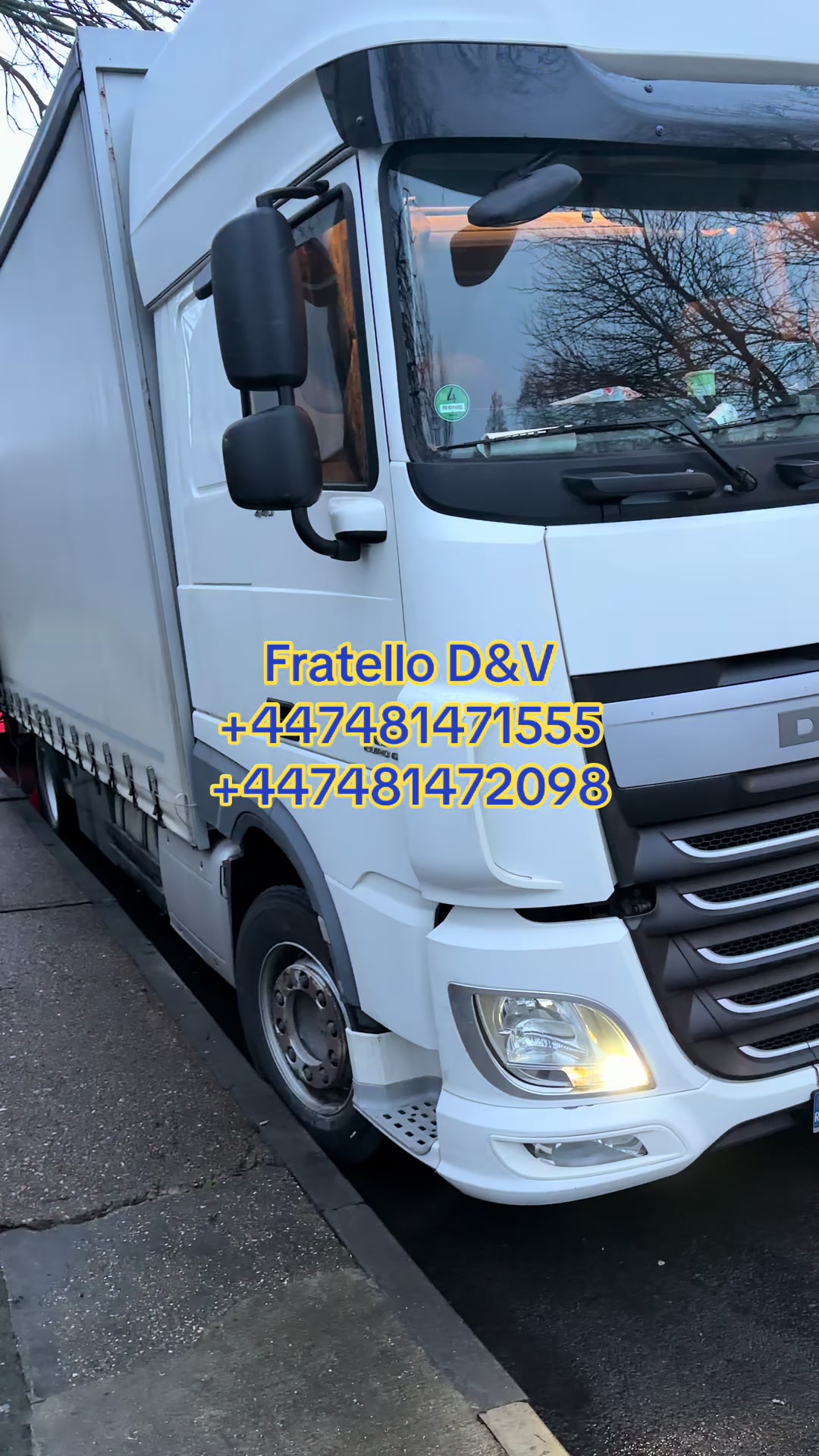 @Fratello D&V