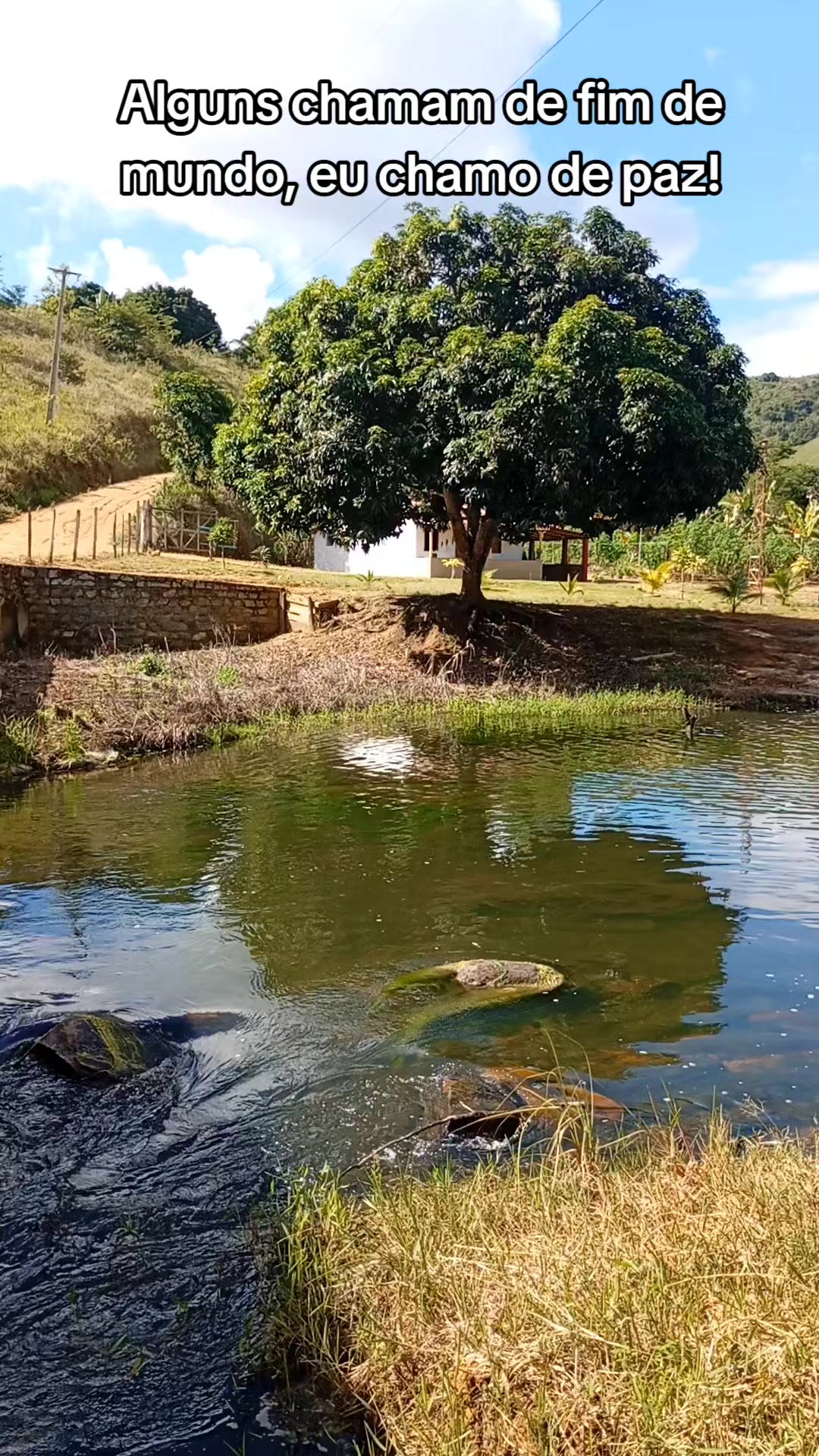 @Roça 🤠🌱