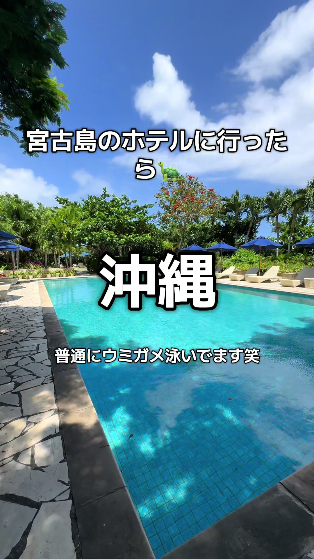 @1QUESTION / JAPAN