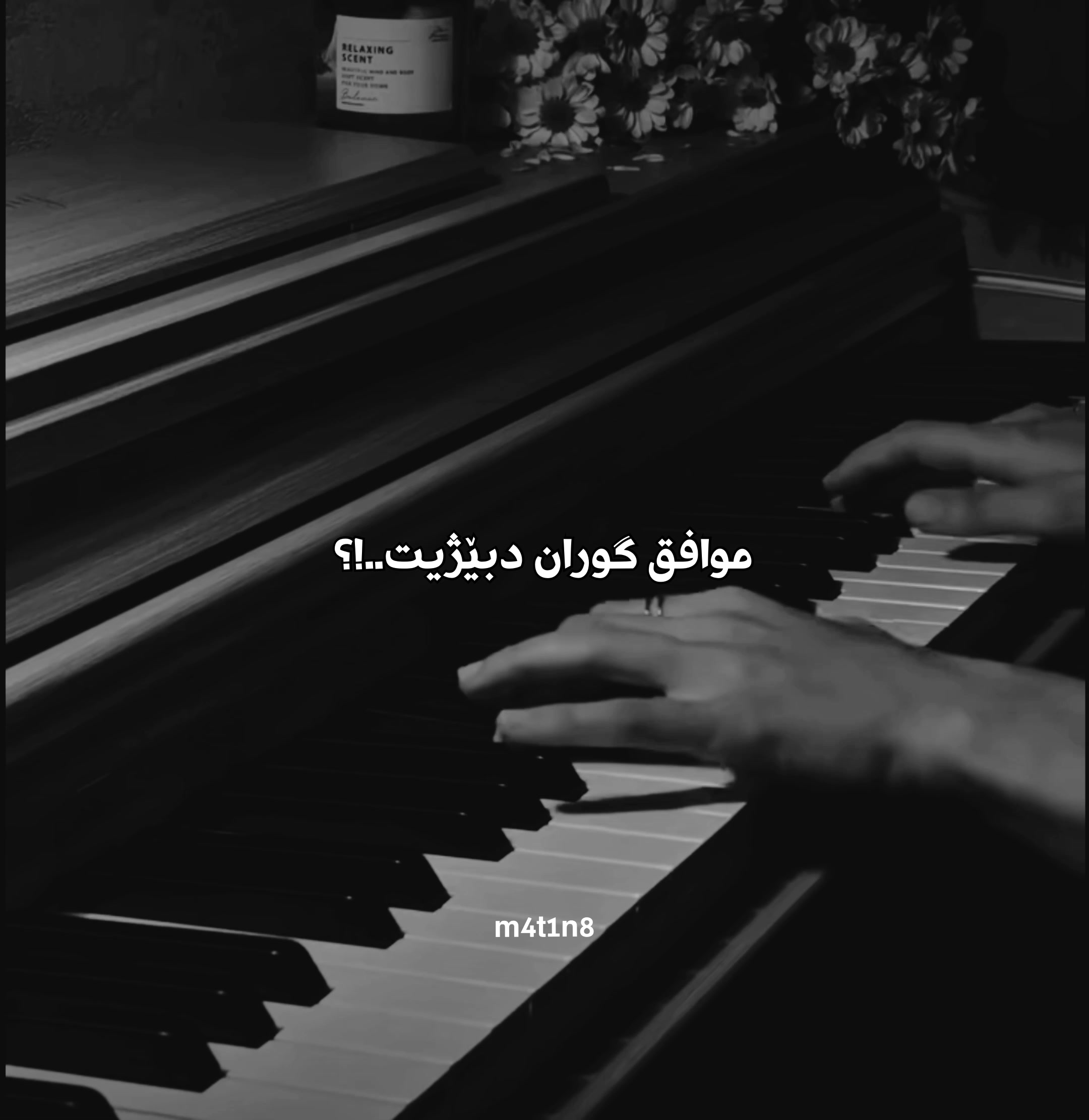 @𝗠𝟰