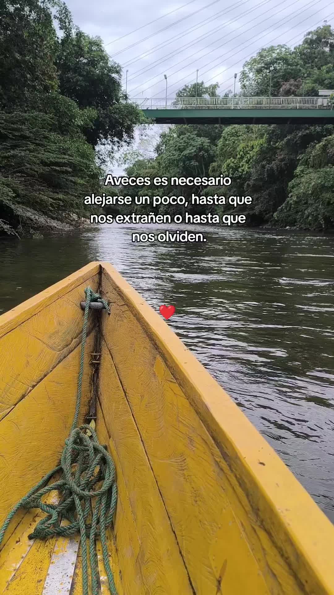 @Dulce Alexiita