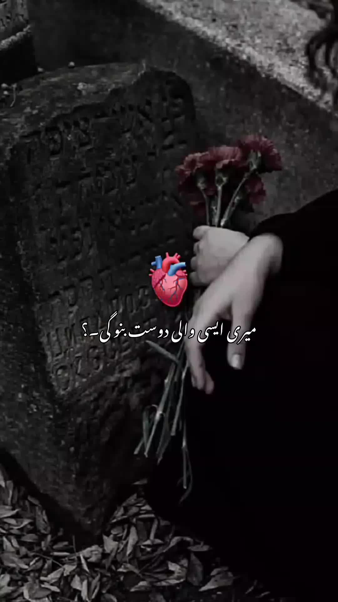 @𝐀   𝐐   𝐒   𝐔   𝐔  🌷