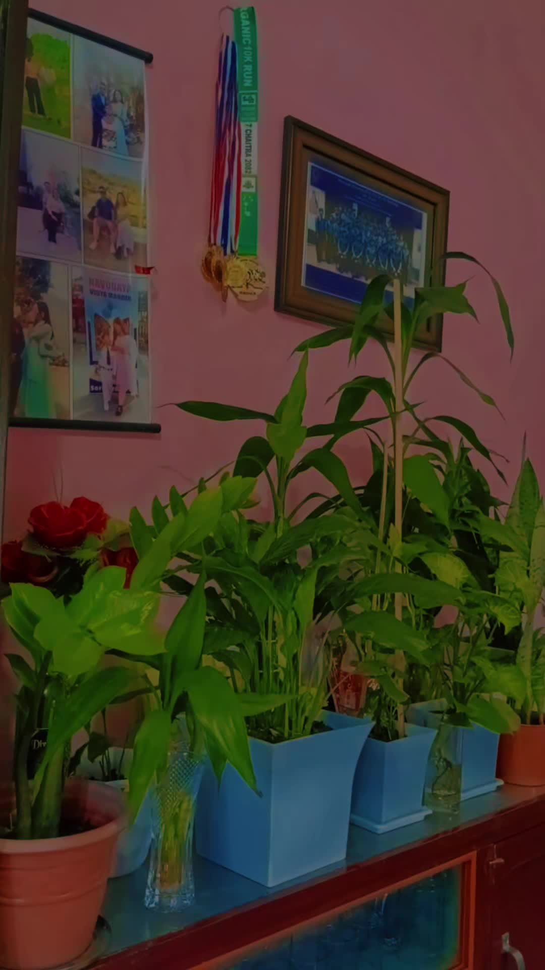 @Priya 🦋💗🫶