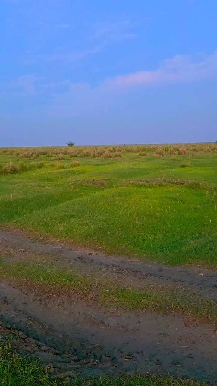 @pallavi567
