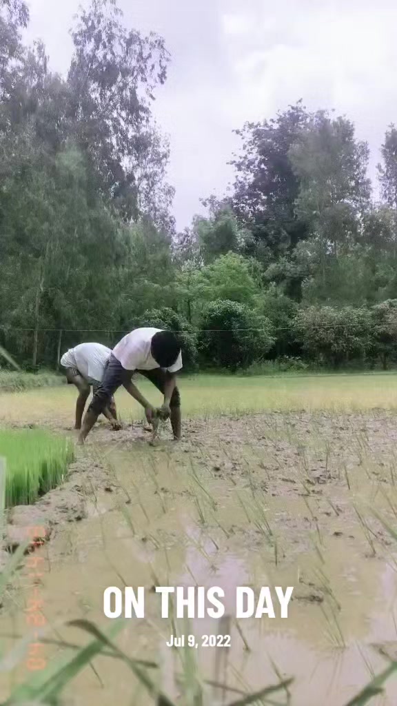 @RAJESH SHAH
