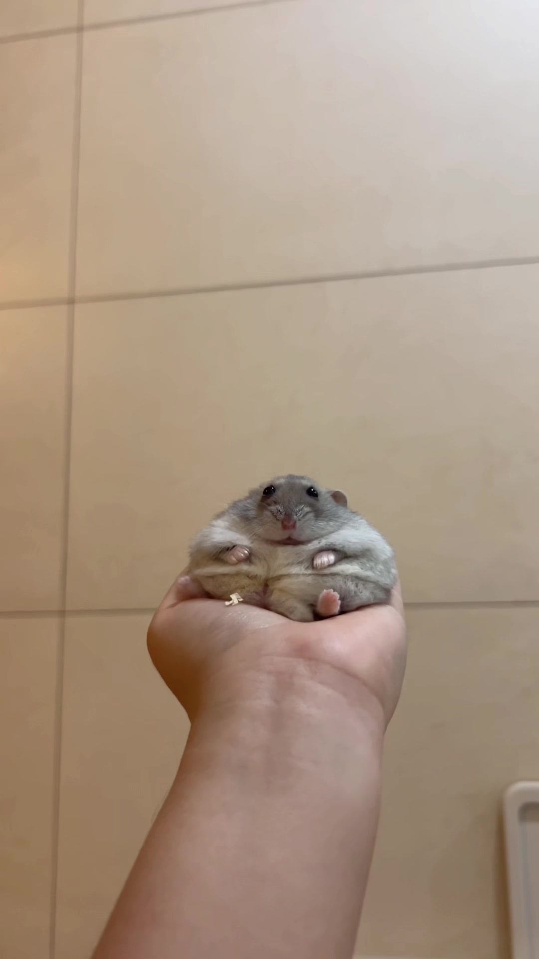 @𝒆𝒍𝒍𝒂✨