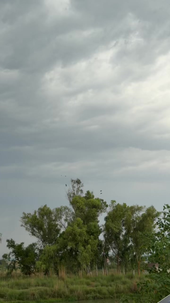 @طاہر بٹ چڑھوئی آلہ🔥