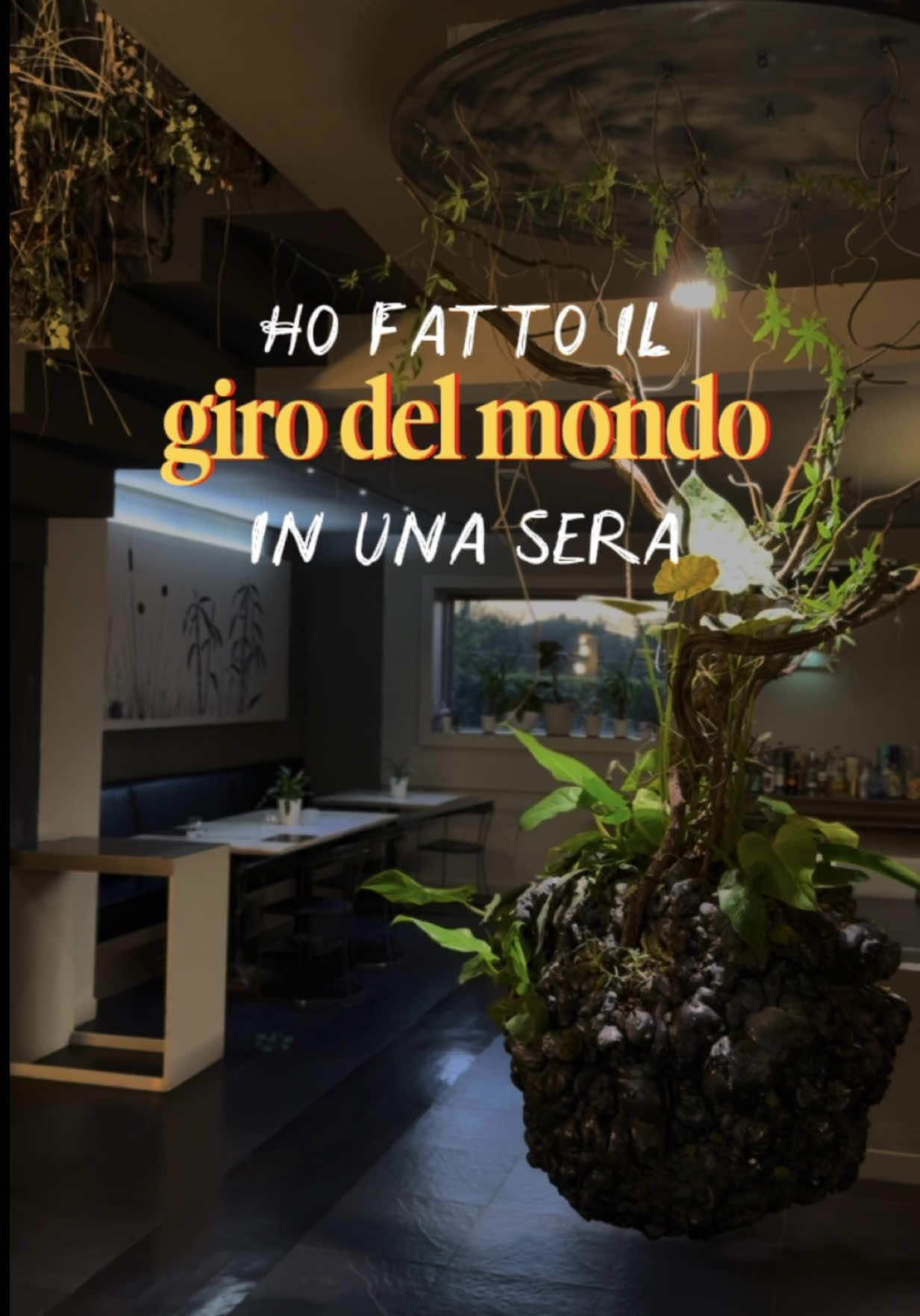 @ROMATRISFOOD