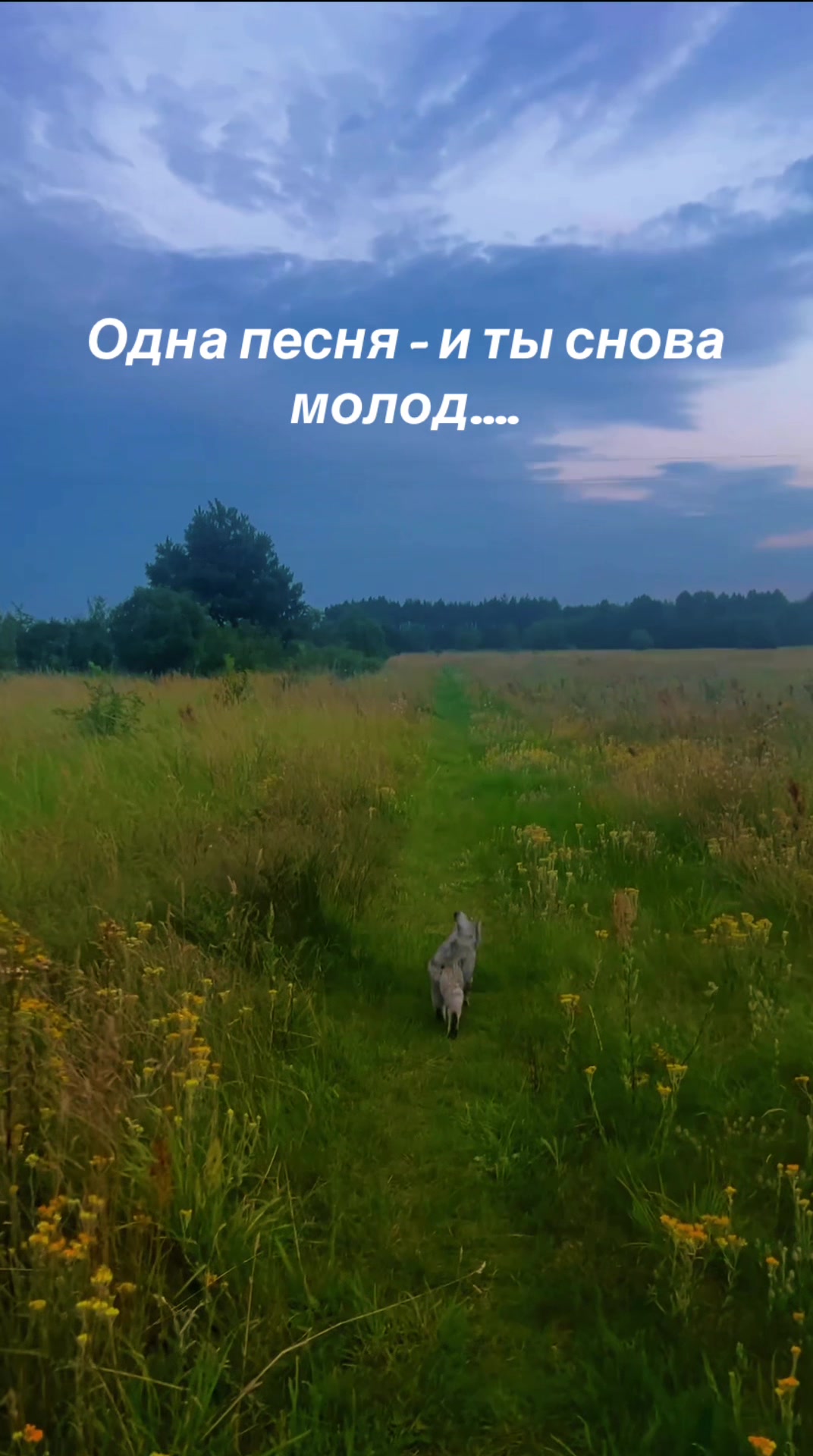 @Саня🇺🇦🌴🌻