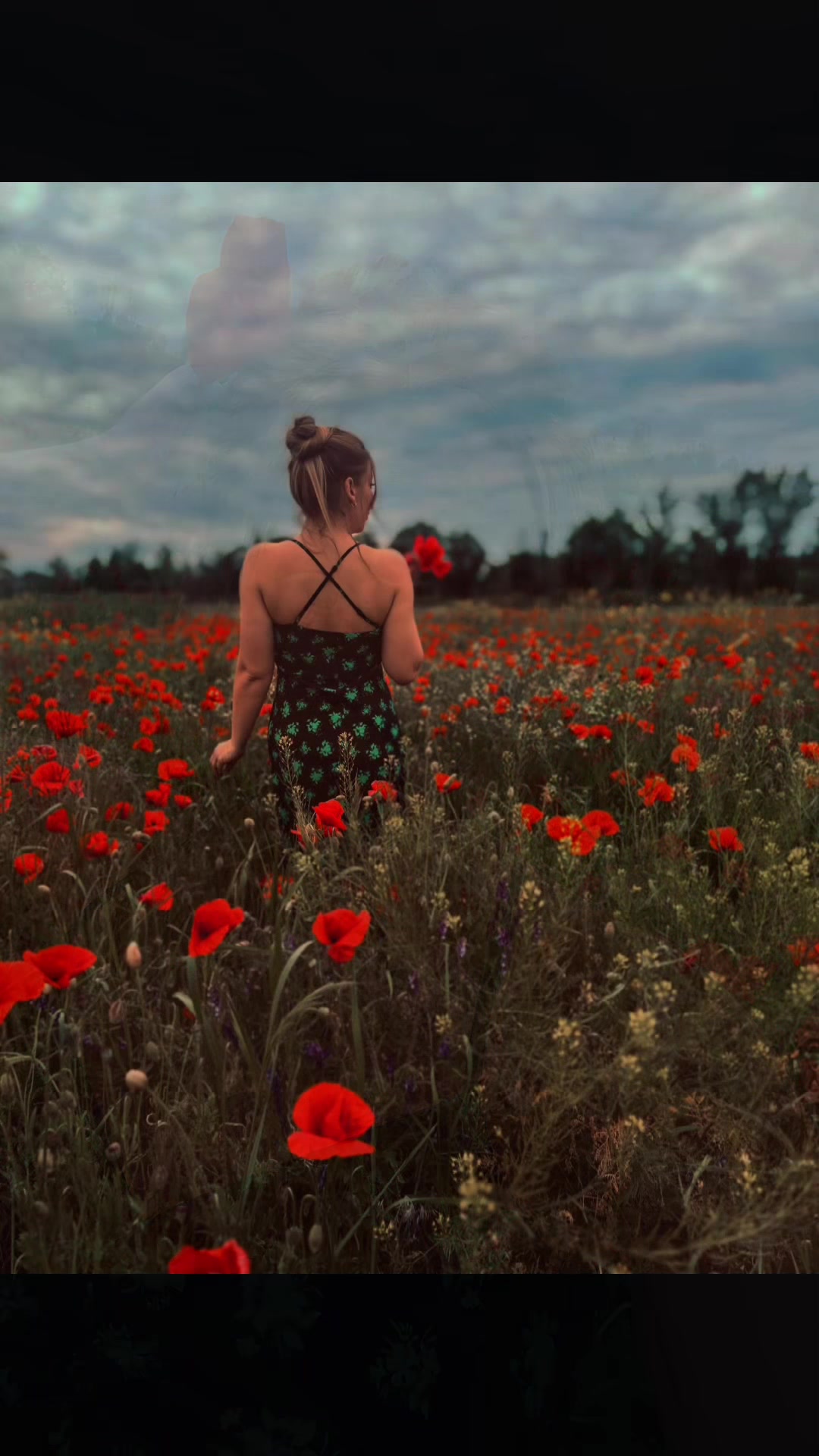 @g.svetlana