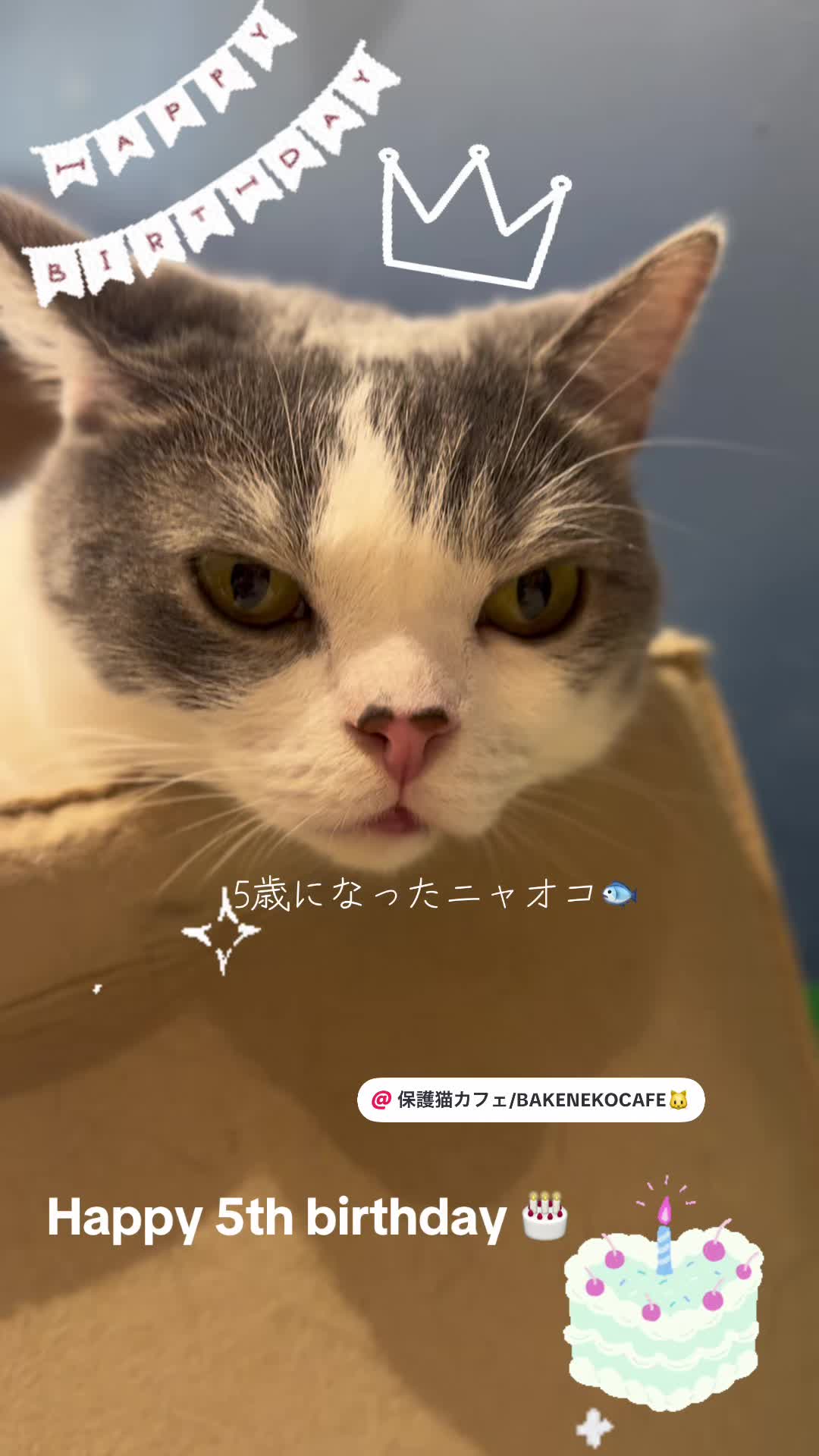 @ラブリーデイ