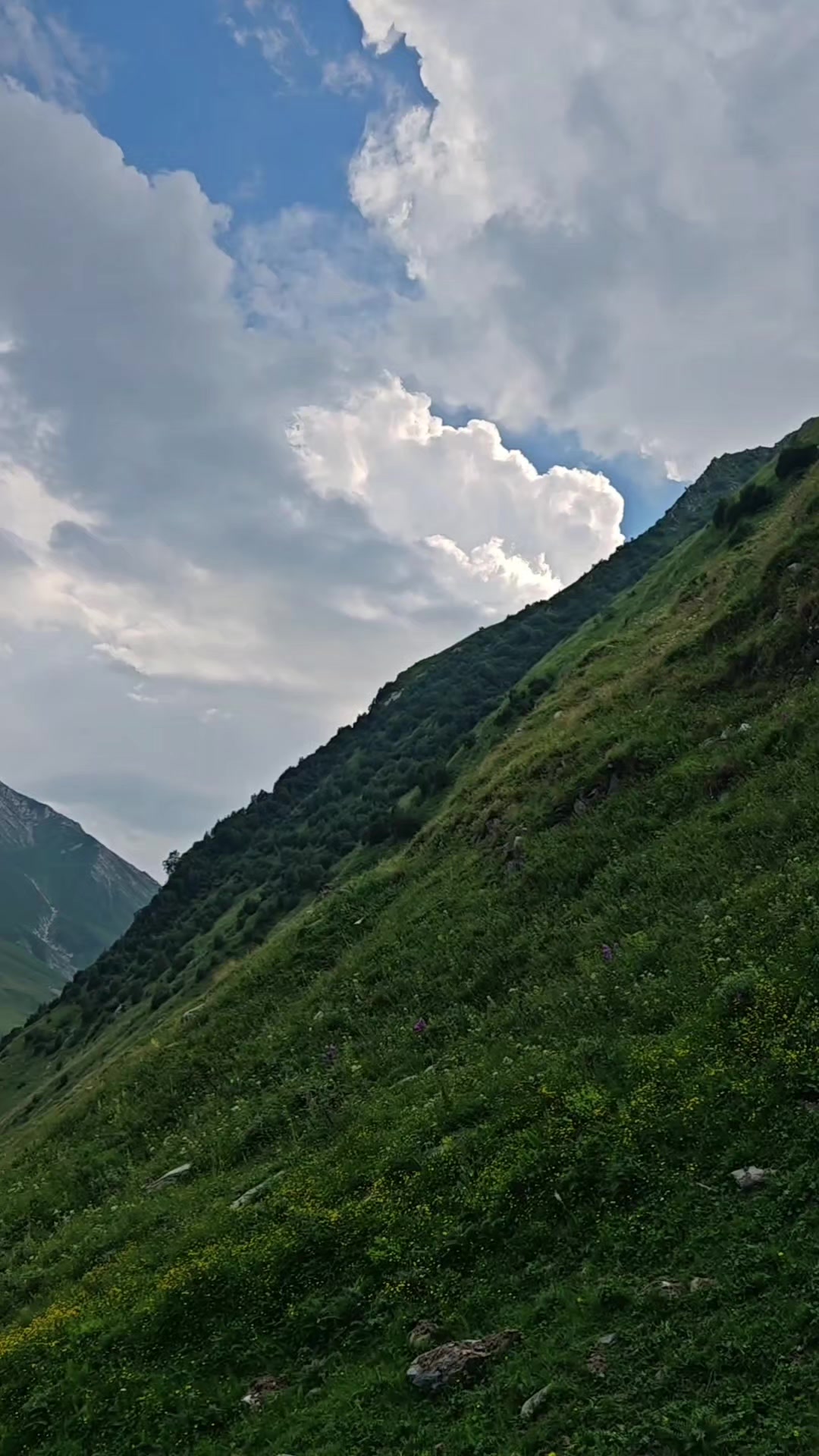 @M. TAMAZASHVILI