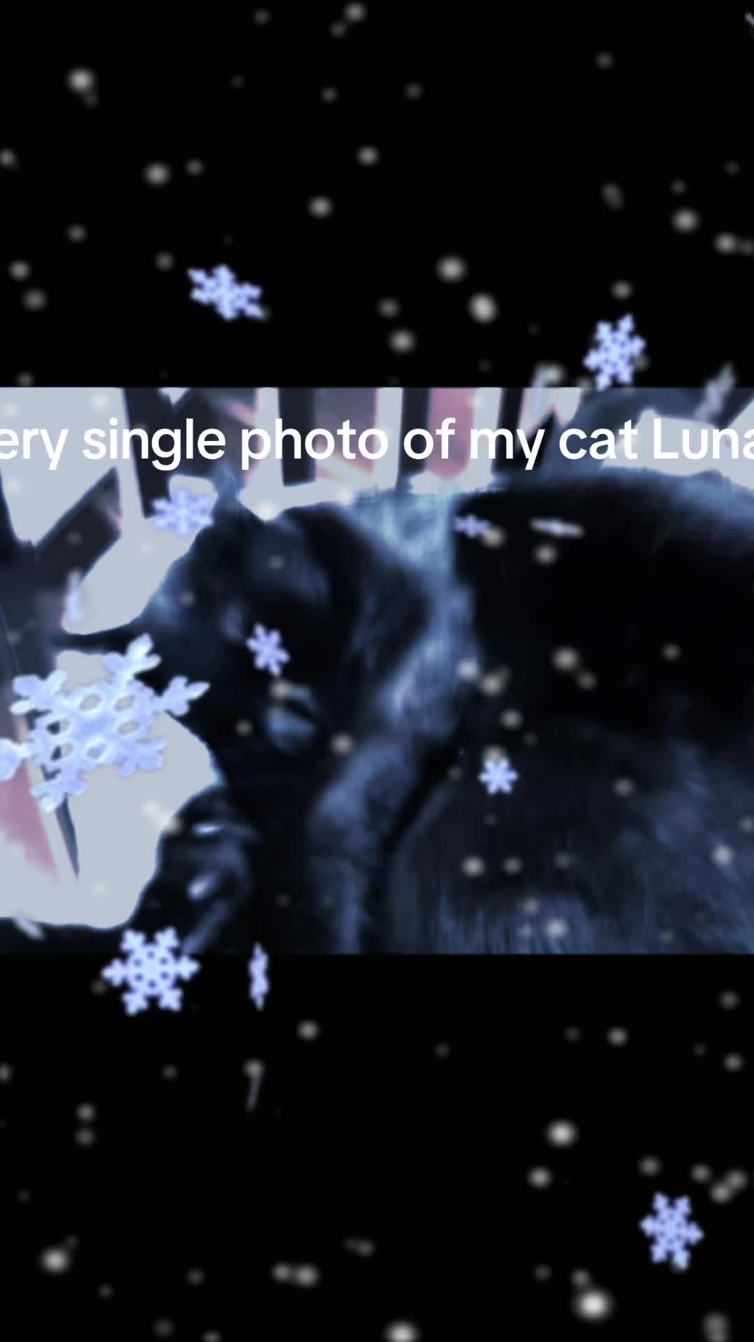 @𝓙𝓪𝓬𝓬𝓬𝓬