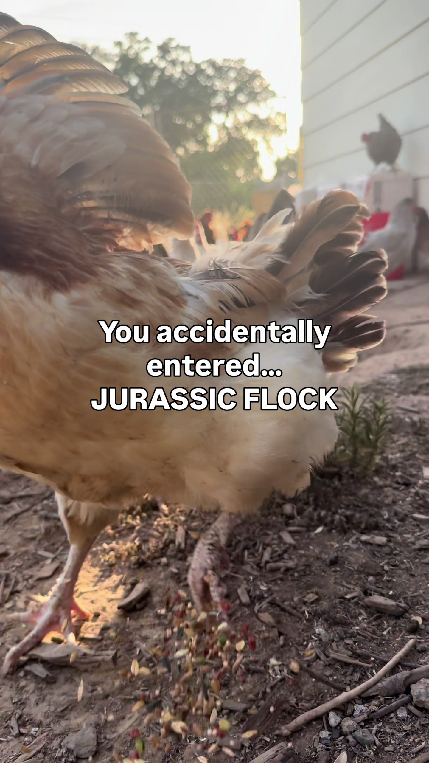 @The Real Estate Chick