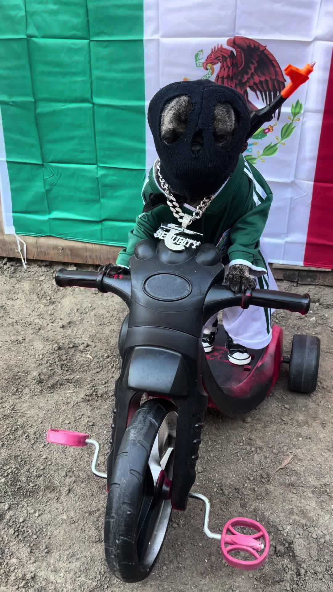 @𝕭𝖔𝖓𝖌𝖔