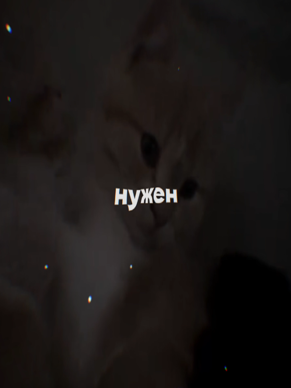 @ПРОСТИ МЕНЯ