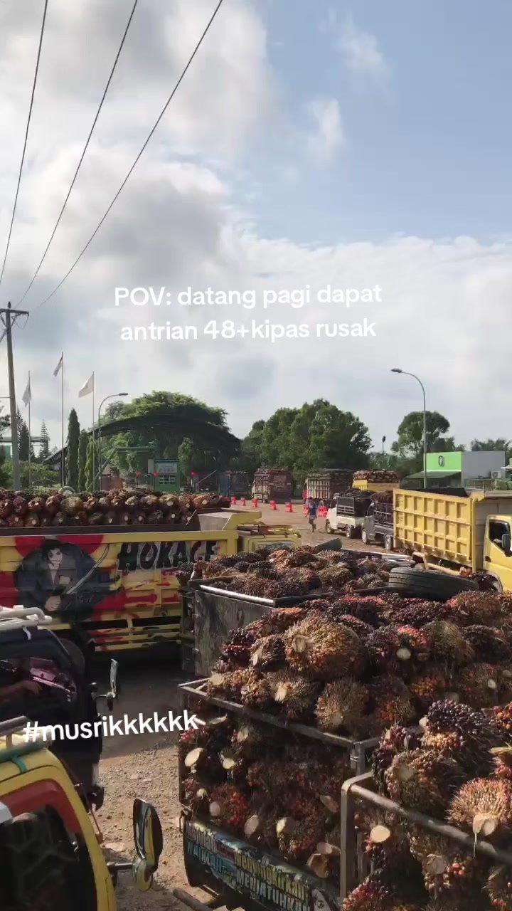 @sintetek ijo_03