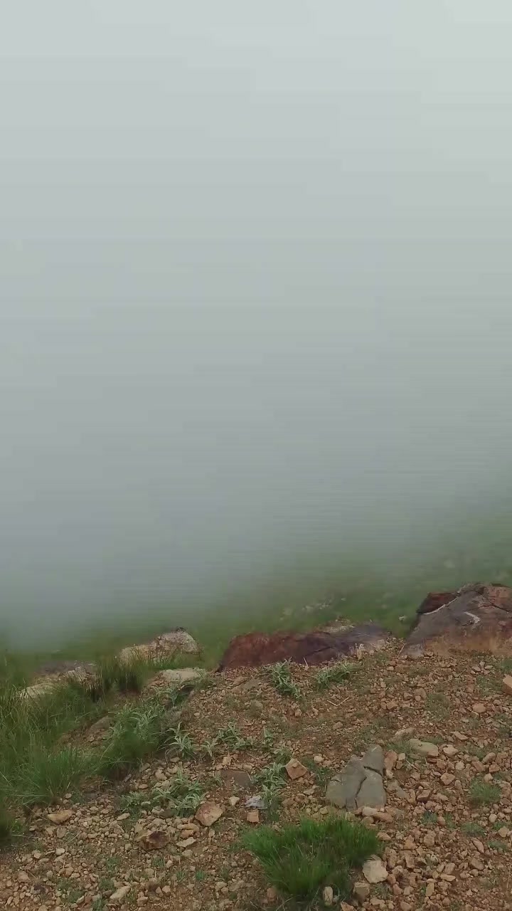 @امین بجرانی فورٹ منرو سٹار✌️