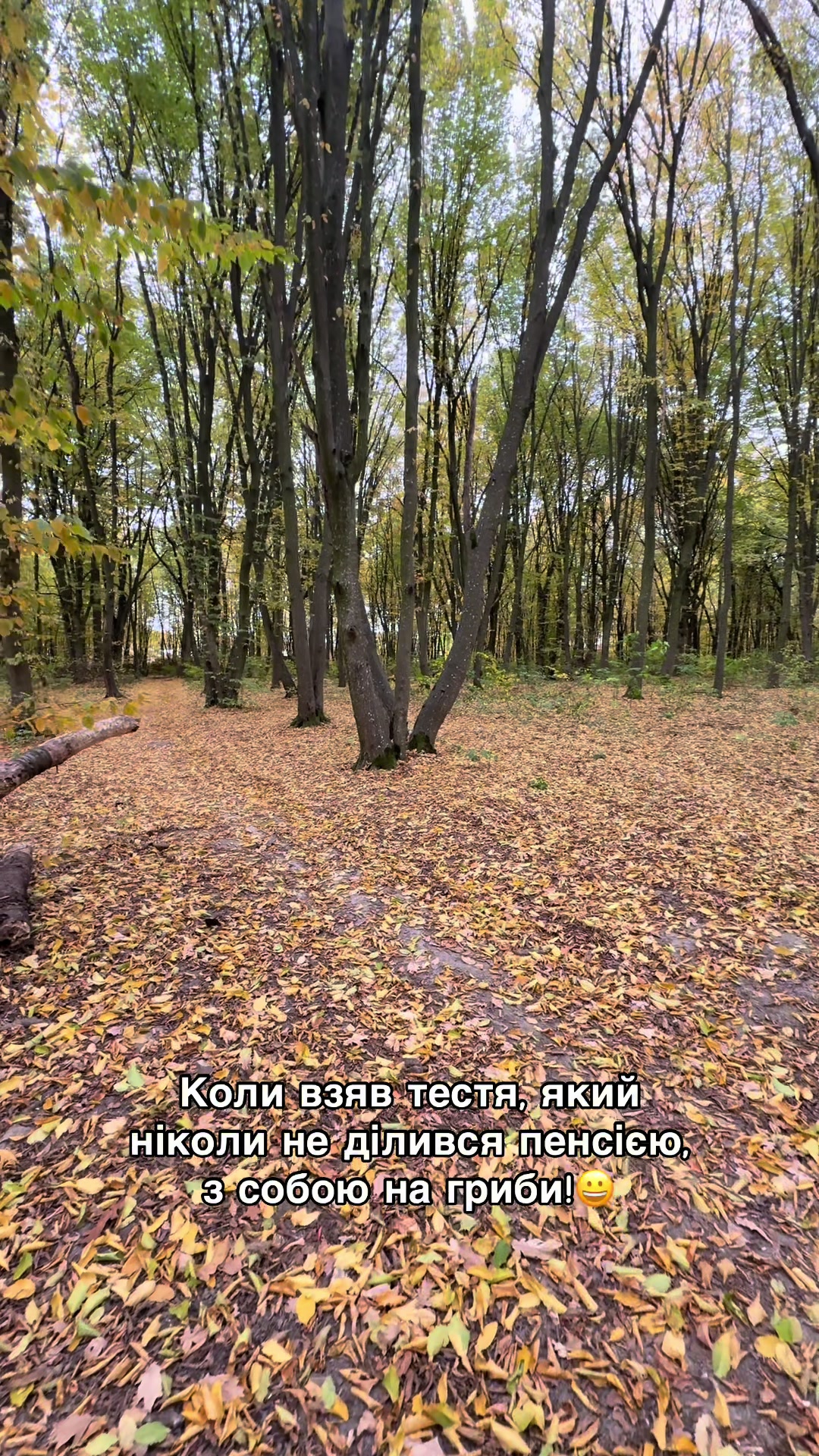 @Volynblog | Луцьк | Ковель