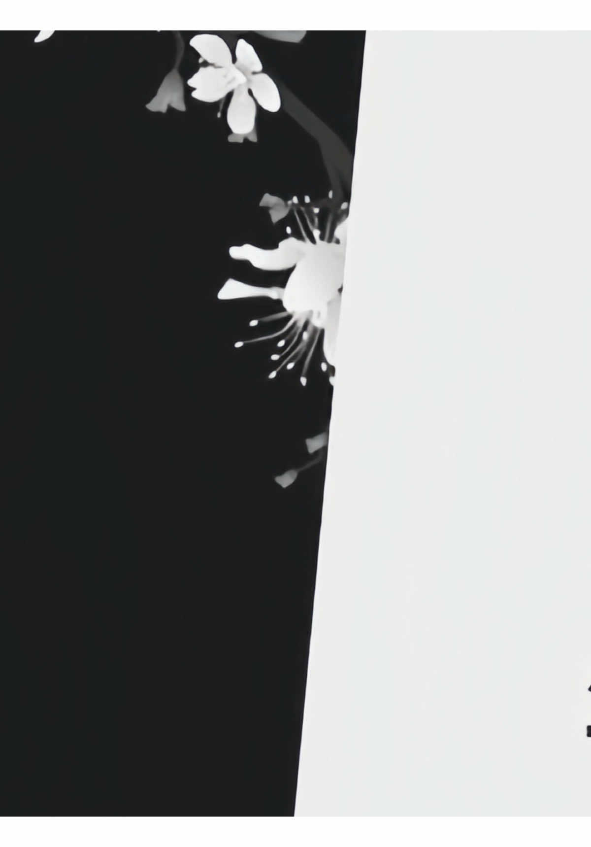 @๐ ๐ ๐
๐