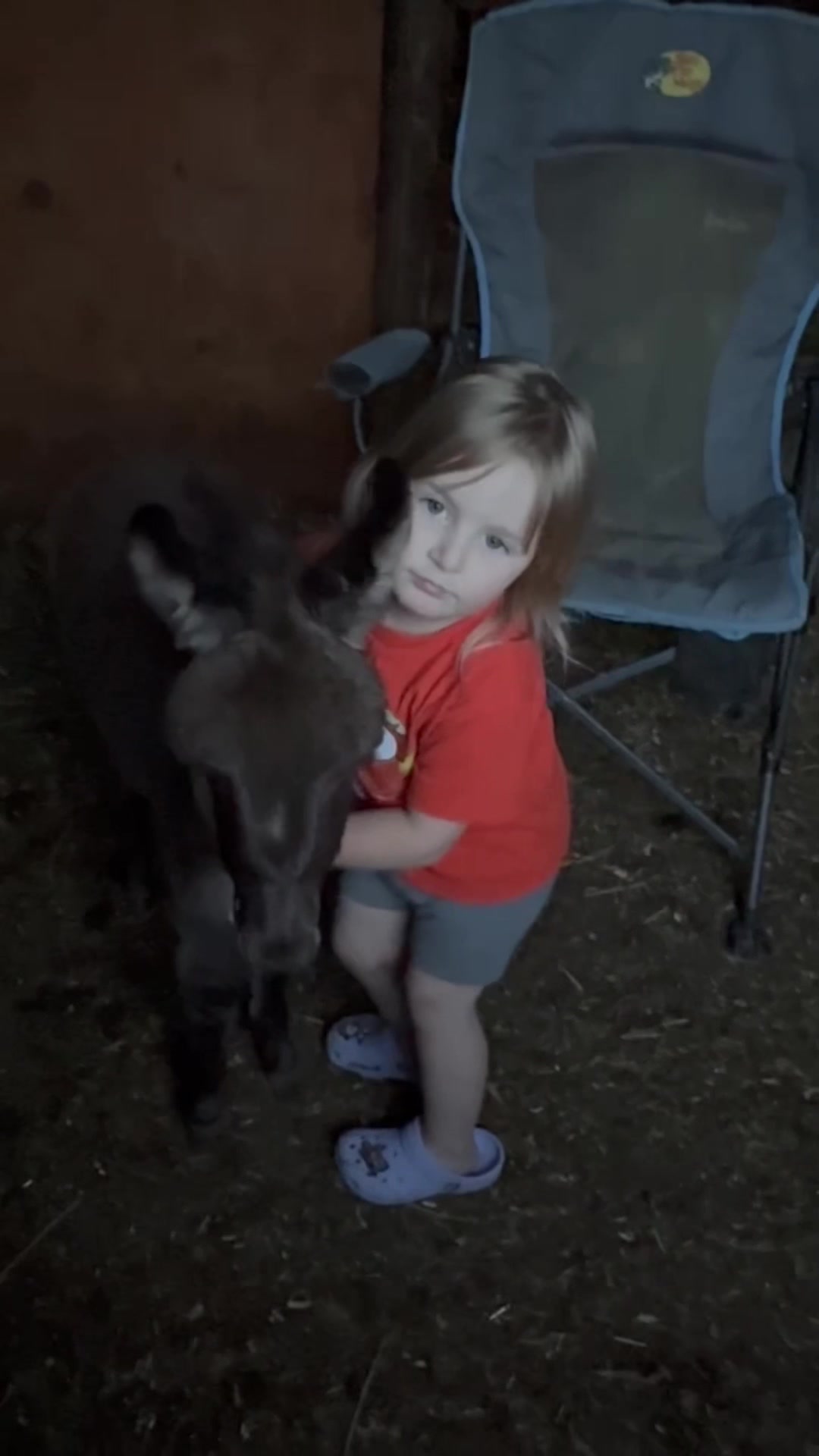 @TennesseeTedMiniFarm