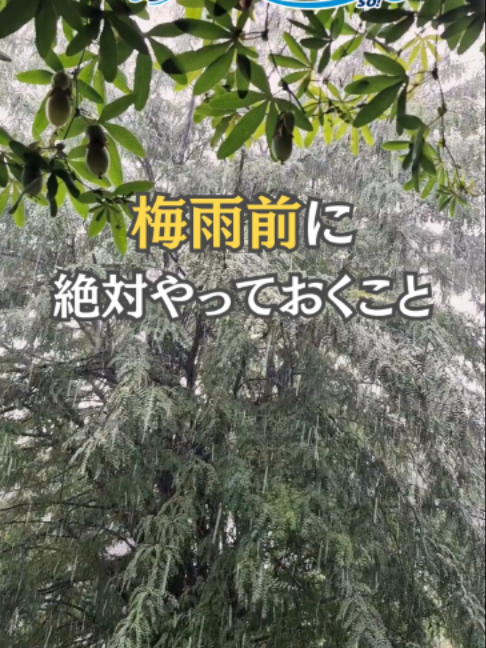 @コインランドリー爽片山坂店