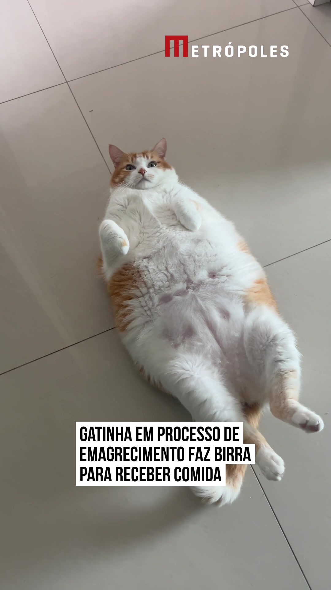 @Metrópoles Oficial