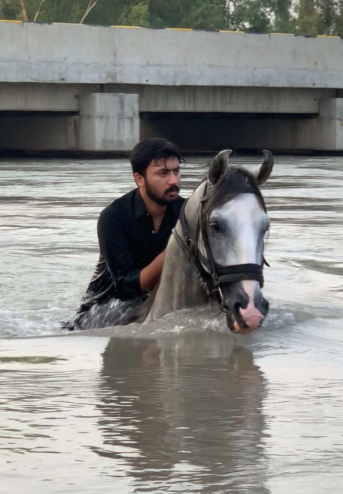 @ملک ابراھیم اعوان⚜️