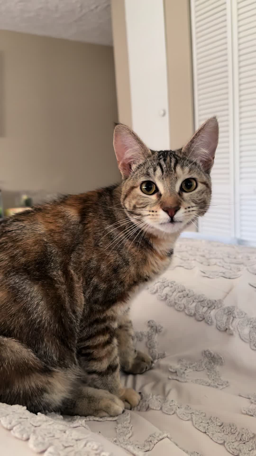 @KrazyKatz