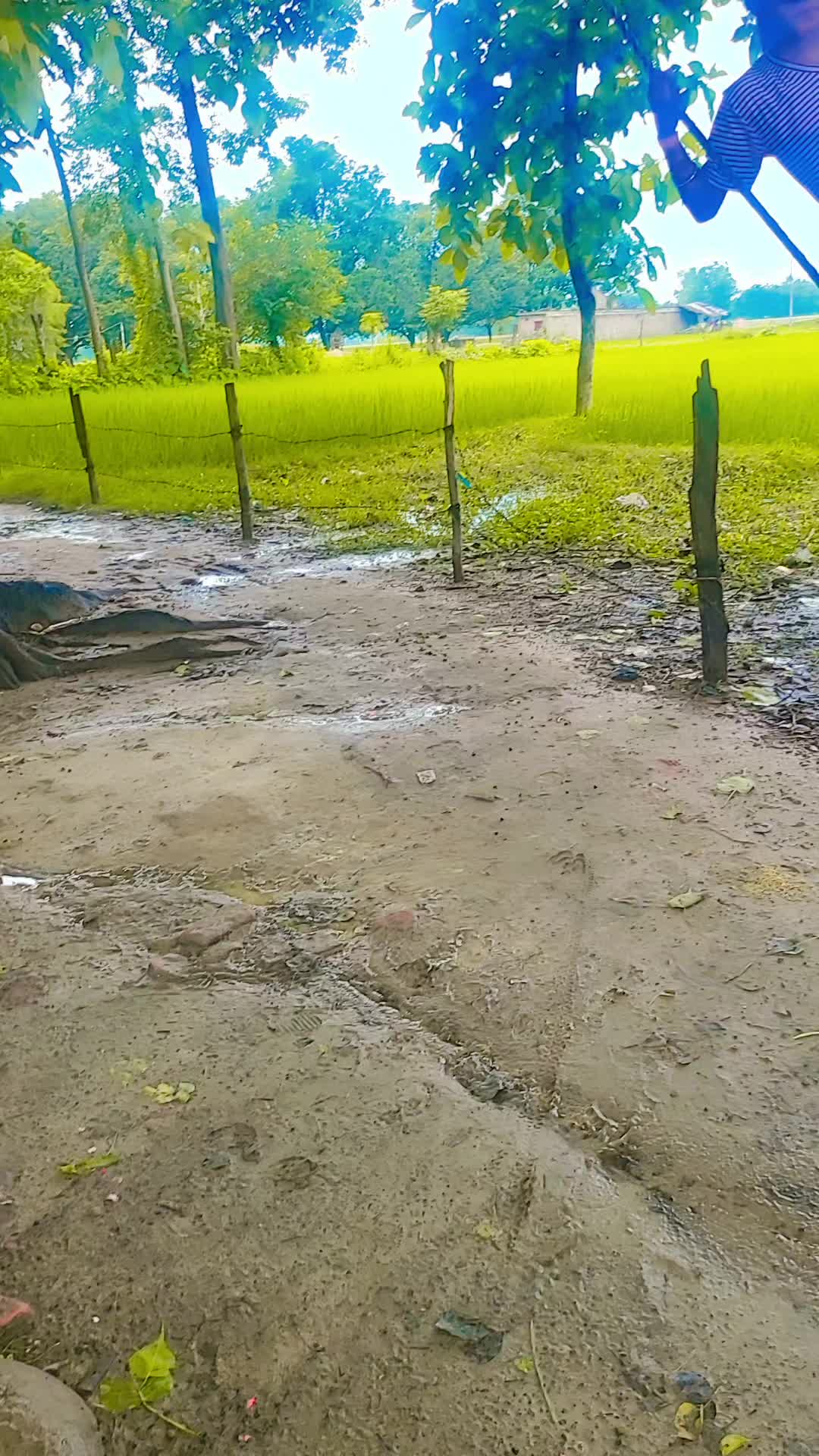 @mamta 77pa