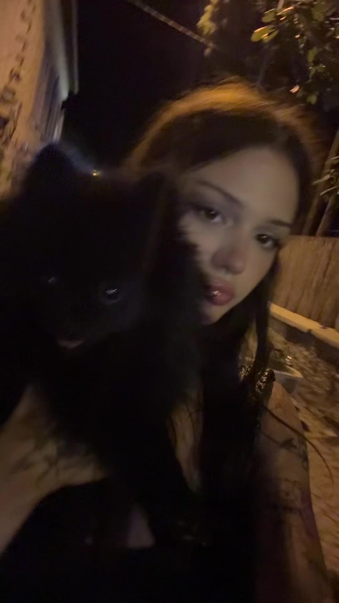 @yutashik