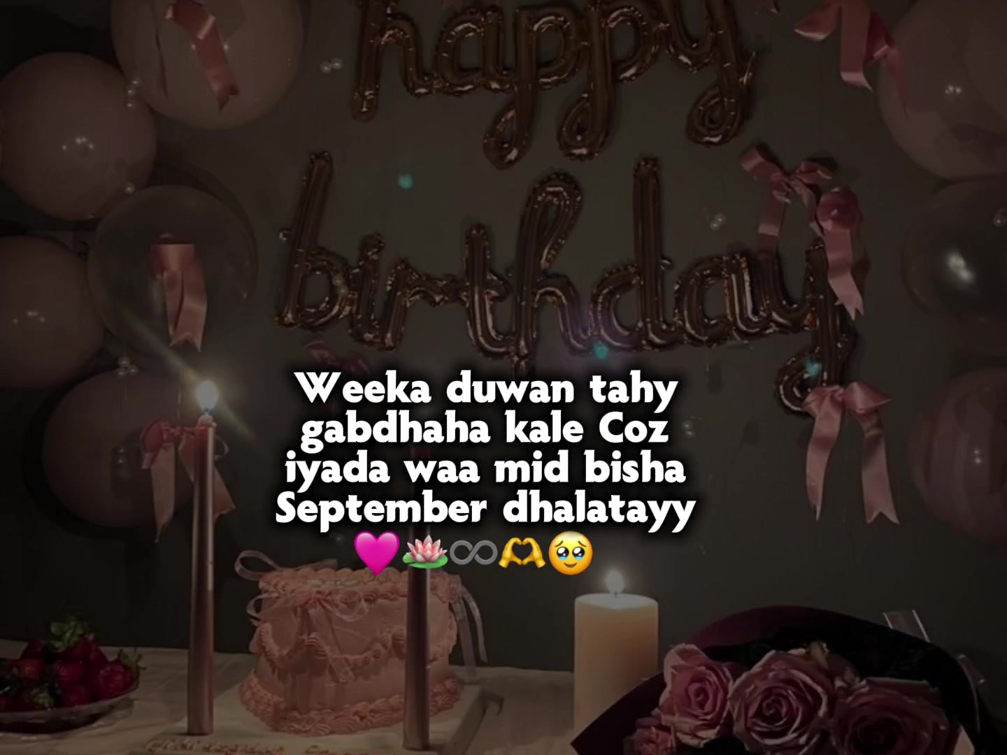 @ՏᑭIᑕY🩷🦢