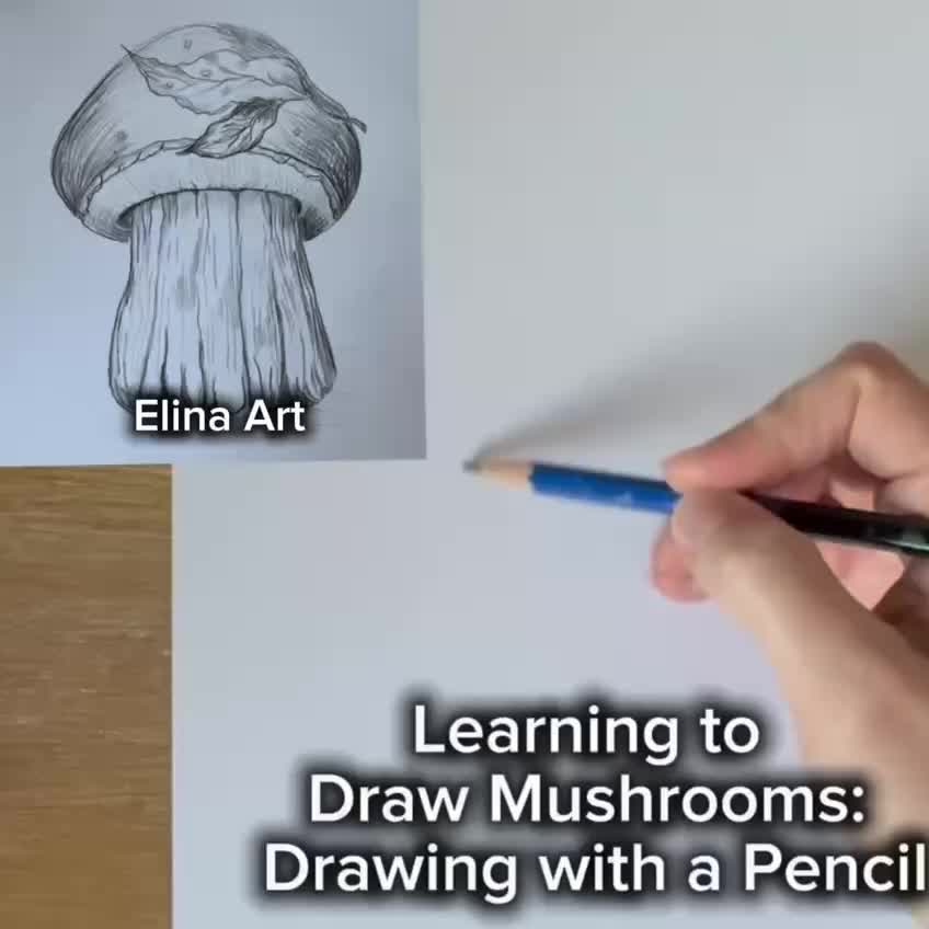 @elinaart13