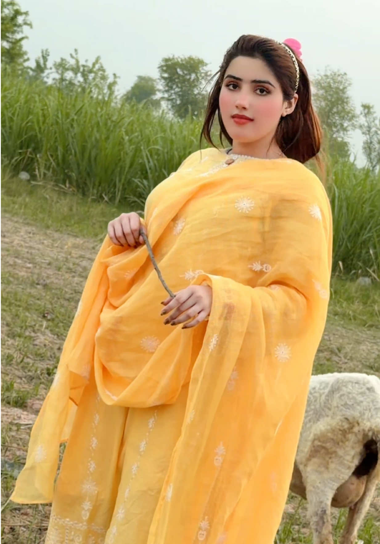 @🎀🎀Nisha Ali Khan🎀🎀