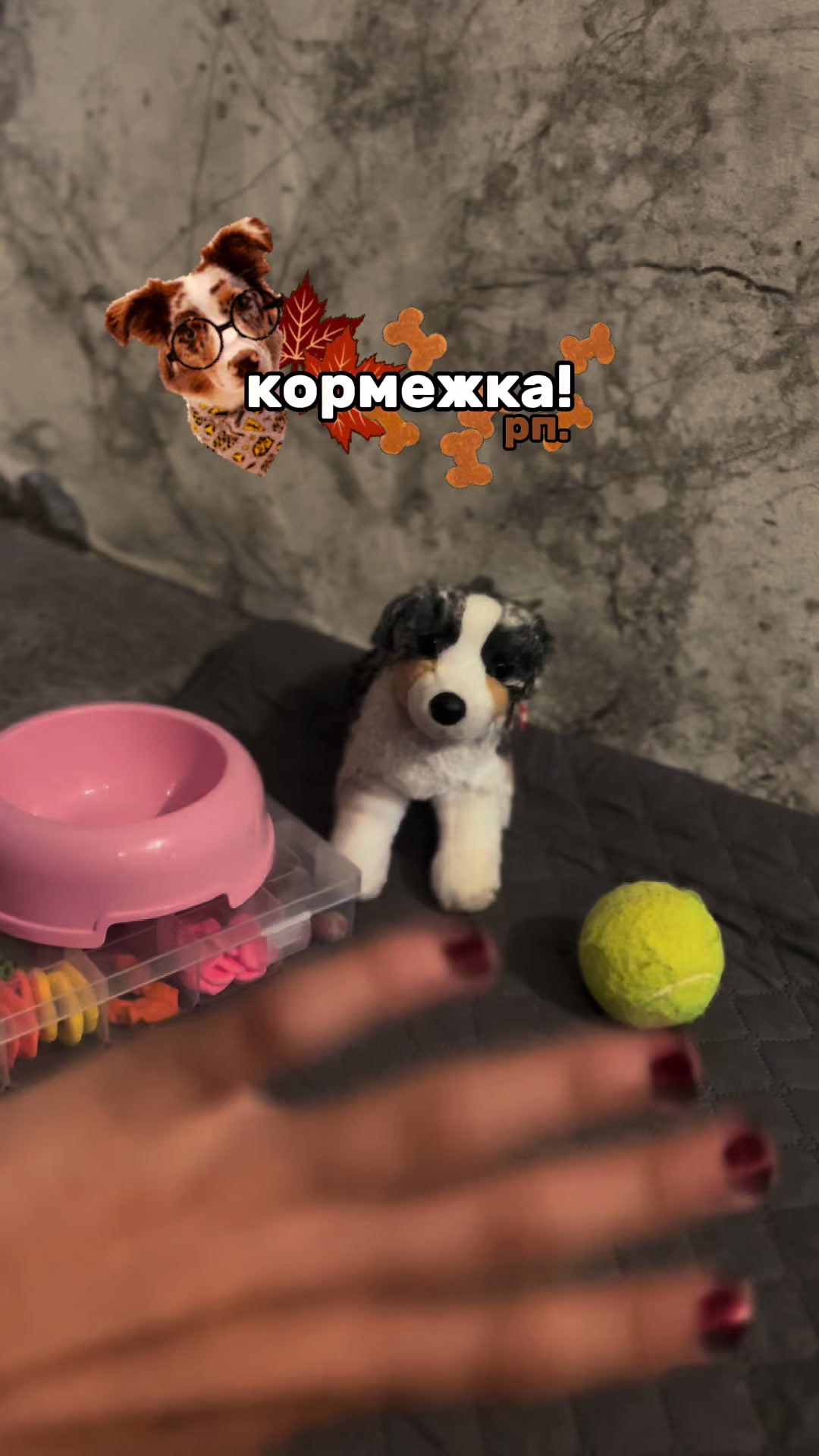 @♯🐾.ᴍᴇʏsʜɪ✧˚